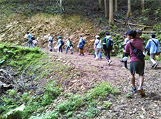 森林保全活動様子