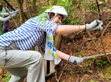 森林保全活動様子