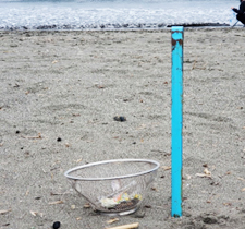 ゴミ拾いボランティア活動様子