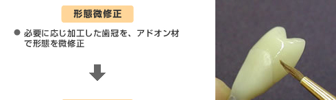 形態微修正