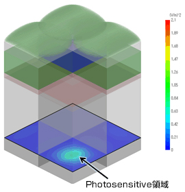 Photosensitive領域